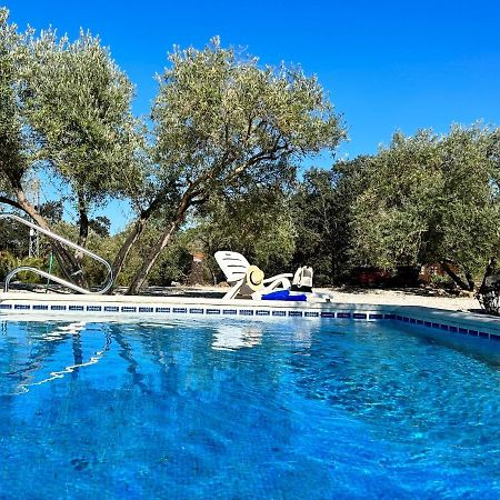 Refugio Andaluz Con Piscina Entre Olivos Villanueva de Tapia Exteriér fotografie