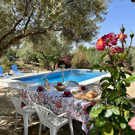 Refugio Andaluz Con Piscina Entre Olivos Villanueva de Tapia Exteriér fotografie