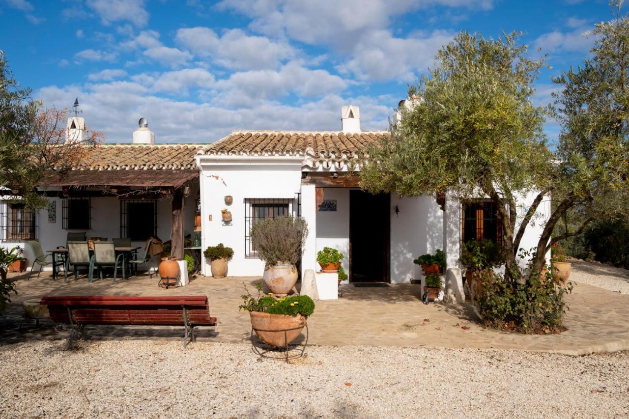 Refugio Andaluz Con Piscina Entre Olivos Villanueva de Tapia Exteriér fotografie