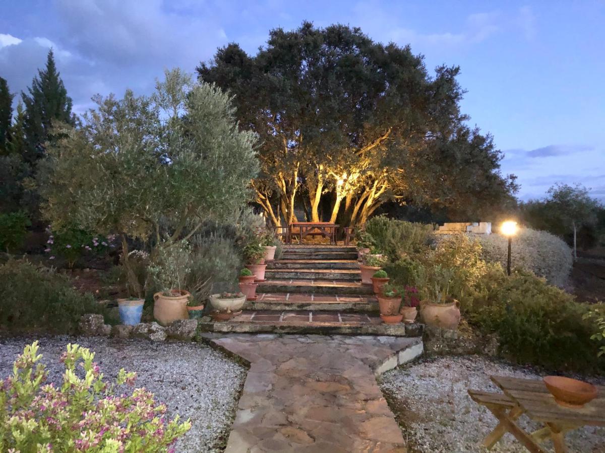 Refugio Andaluz Con Piscina Entre Olivos Villanueva de Tapia Exteriér fotografie