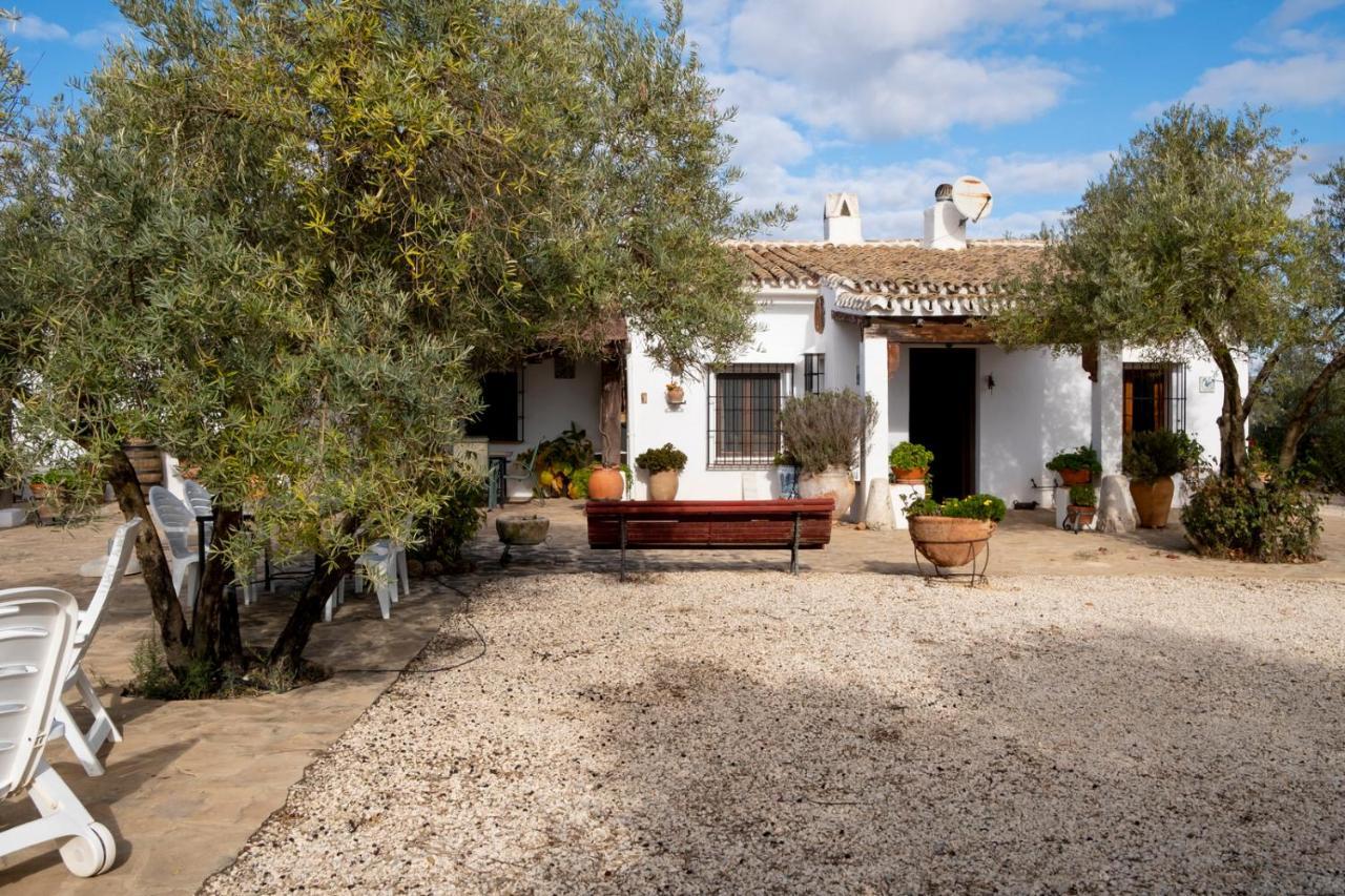 Refugio Andaluz Con Piscina Entre Olivos Villanueva de Tapia Exteriér fotografie