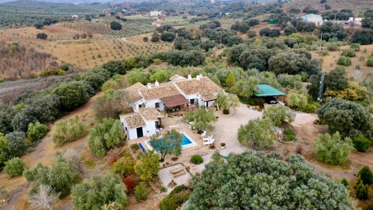Refugio Andaluz Con Piscina Entre Olivos Villanueva de Tapia Exteriér fotografie