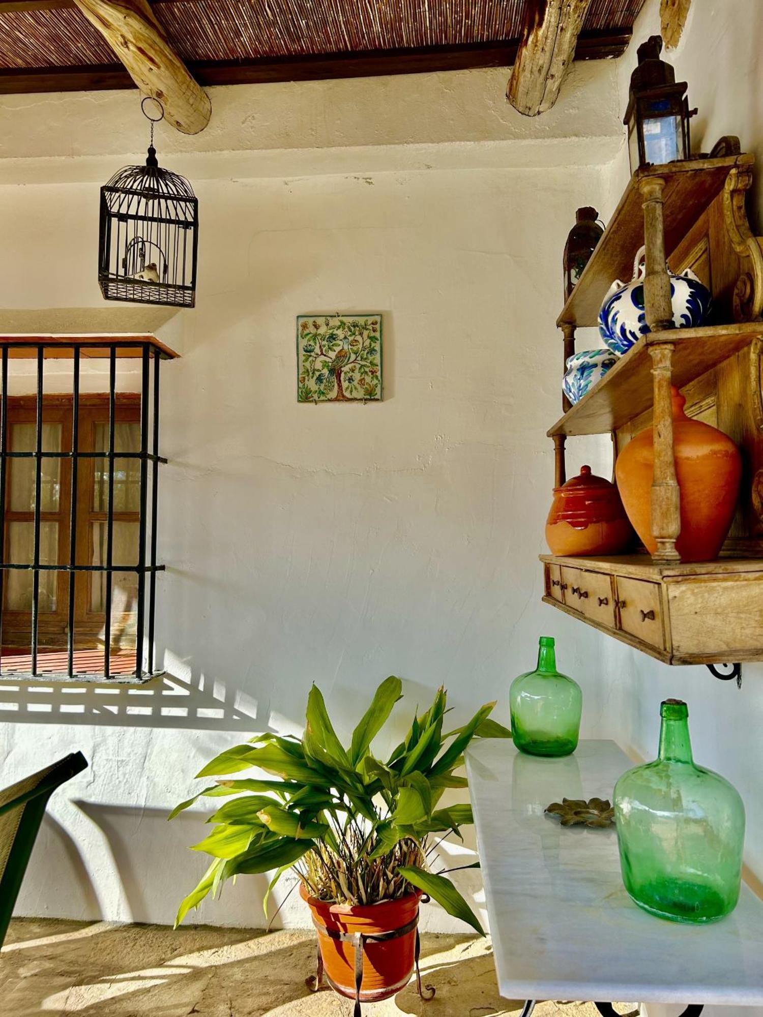 Refugio Andaluz Con Piscina Entre Olivos Villanueva de Tapia Exteriér fotografie