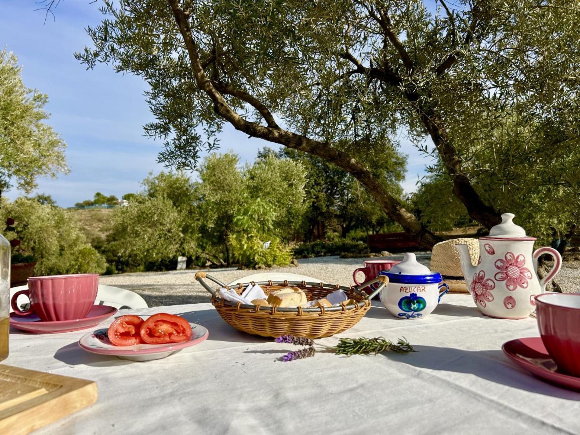 Refugio Andaluz Con Piscina Entre Olivos Villanueva de Tapia Exteriér fotografie