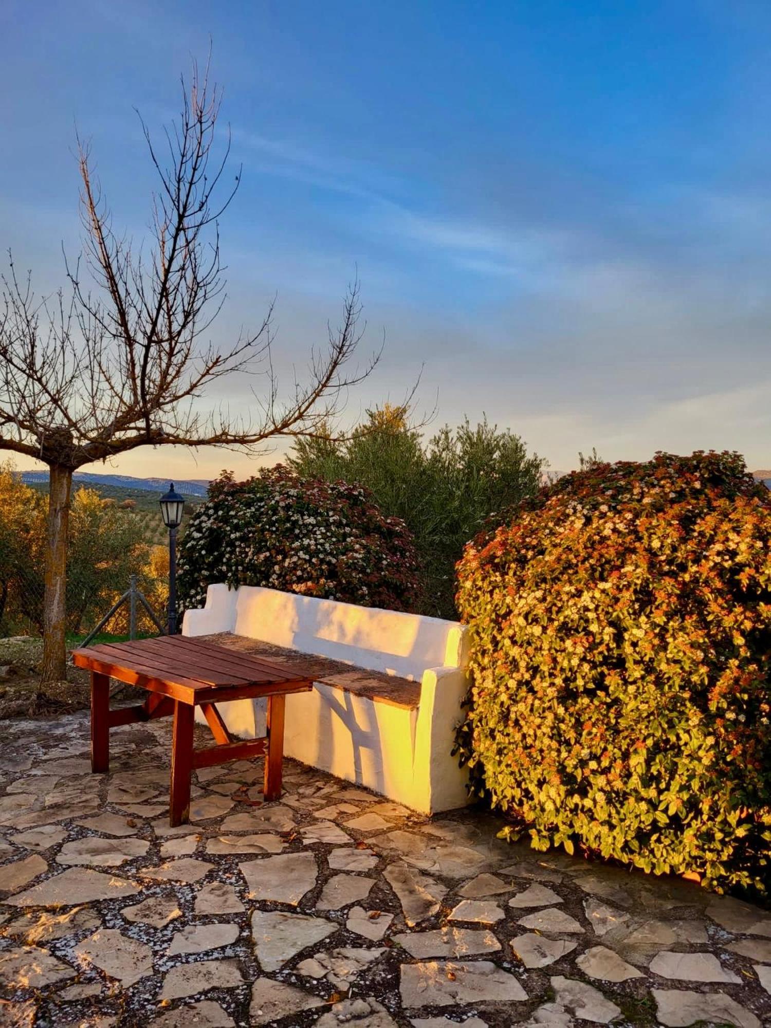 Refugio Andaluz Con Piscina Entre Olivos Villanueva de Tapia Exteriér fotografie