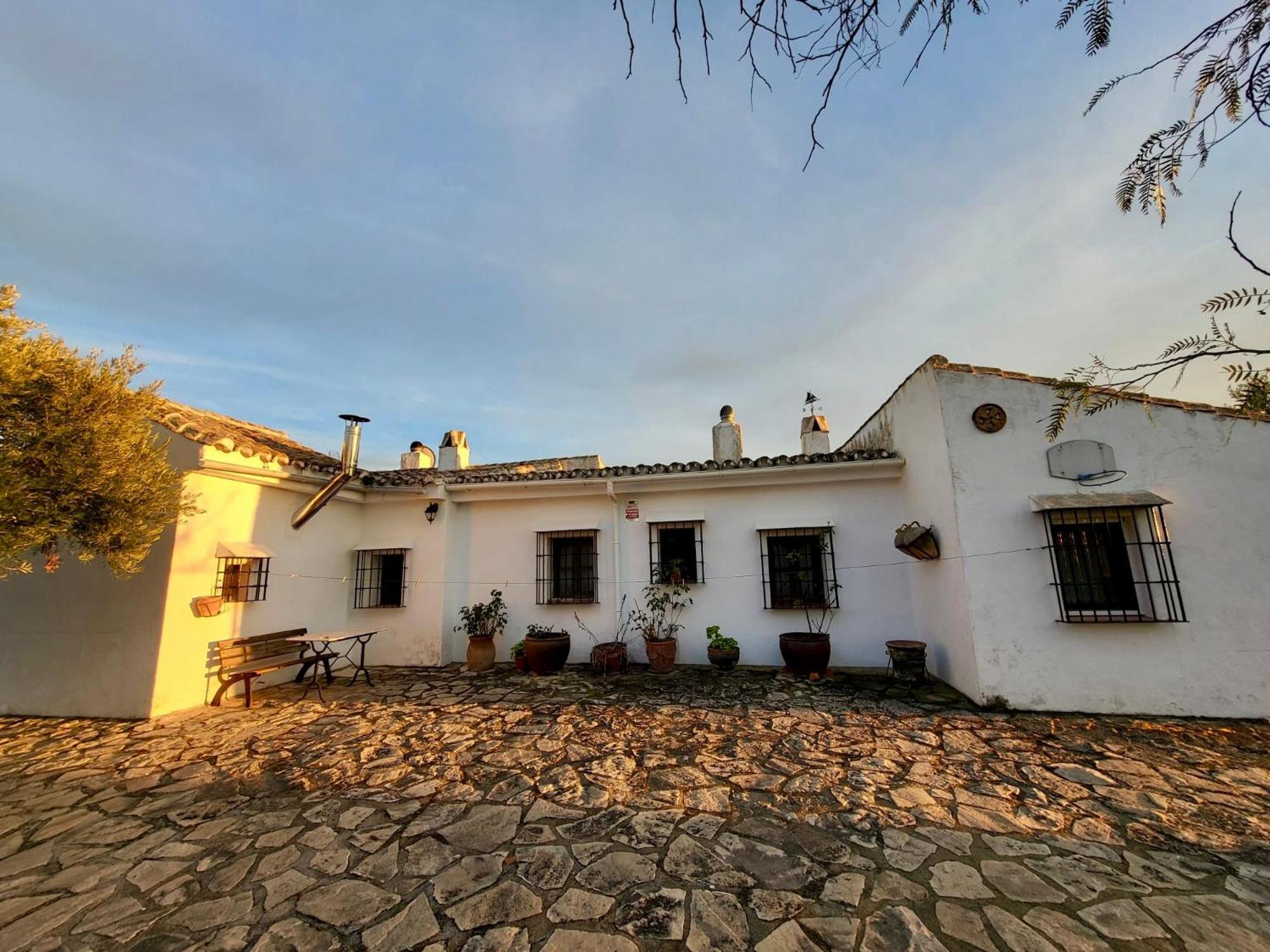 Refugio Andaluz Con Piscina Entre Olivos Villanueva de Tapia Exteriér fotografie