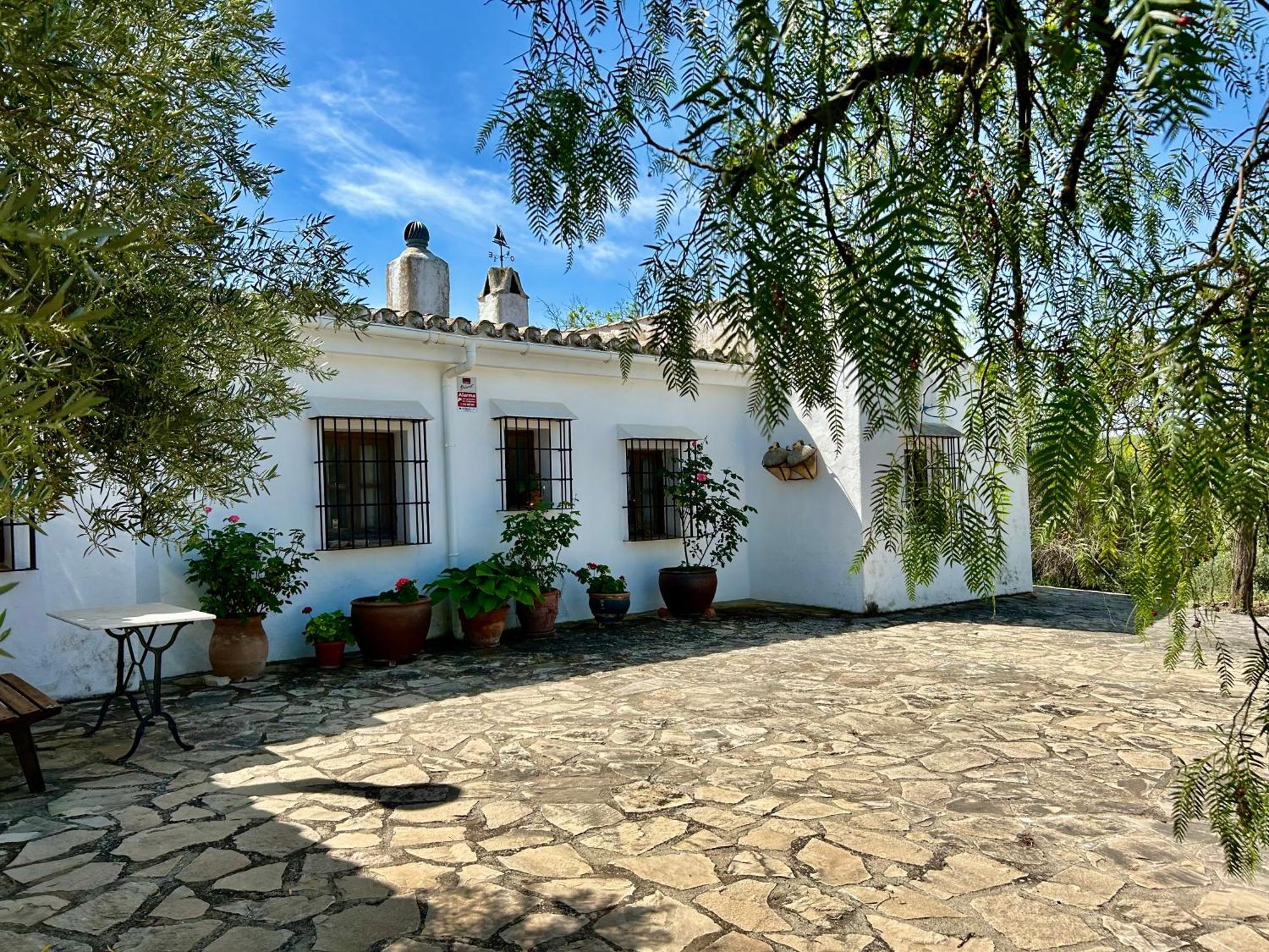 Refugio Andaluz Con Piscina Entre Olivos Villanueva de Tapia Exteriér fotografie