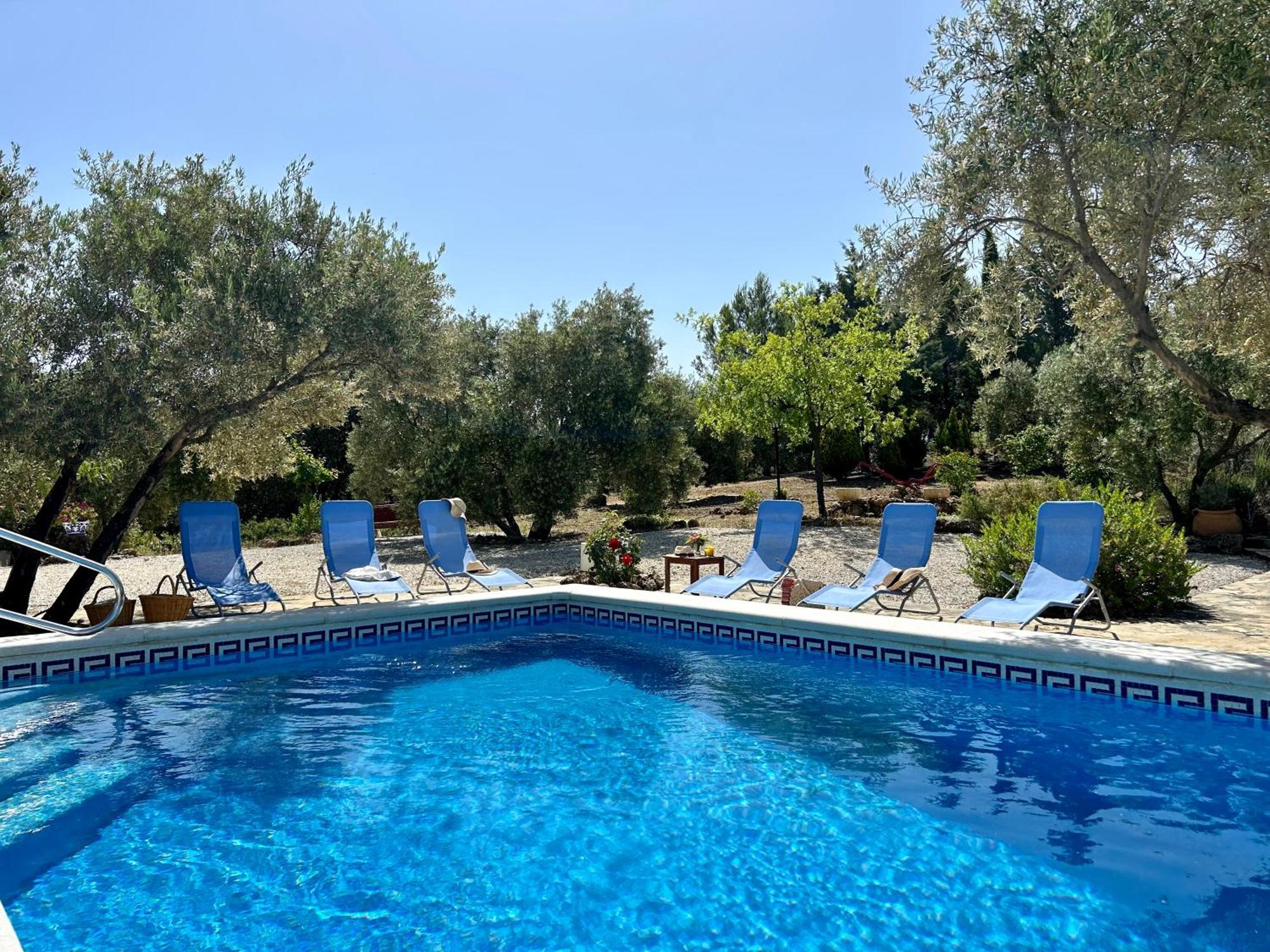 Refugio Andaluz Con Piscina Entre Olivos Villanueva de Tapia Exteriér fotografie
