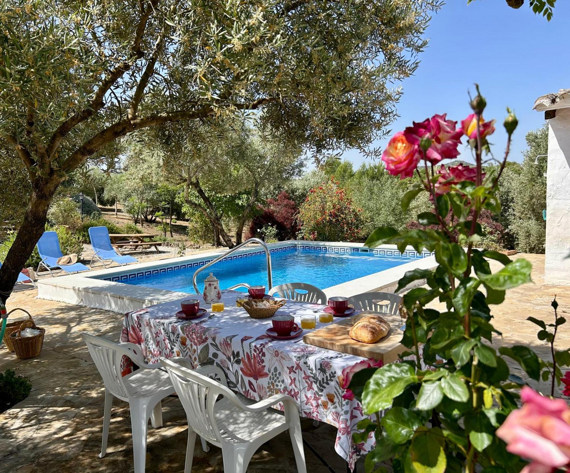 Refugio Andaluz Con Piscina Entre Olivos Villanueva de Tapia Exteriér fotografie