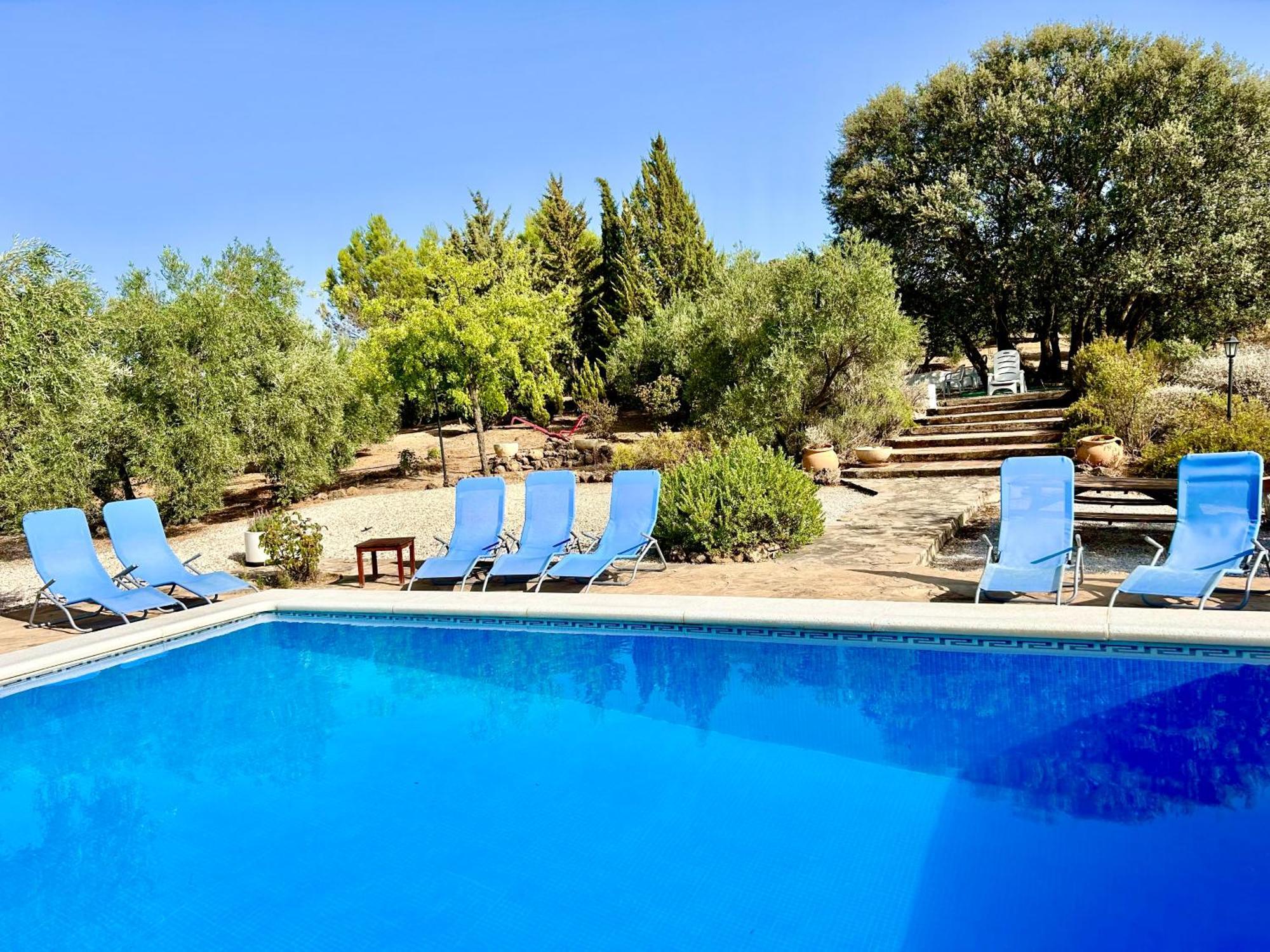 Refugio Andaluz Con Piscina Entre Olivos Villanueva de Tapia Exteriér fotografie